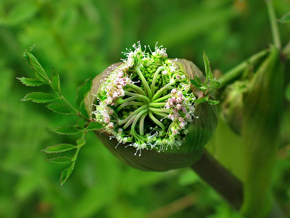 BG_Bild Gesundheitsförderung Sabine Klein